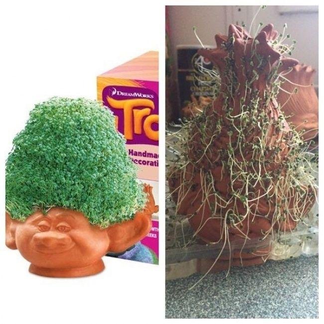 16 Compras online que nao terminaram NADA bem