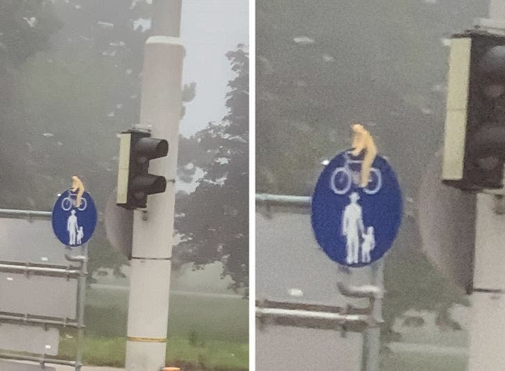 16 vezes que a criatividade explodiu dentro da cabeca dessas