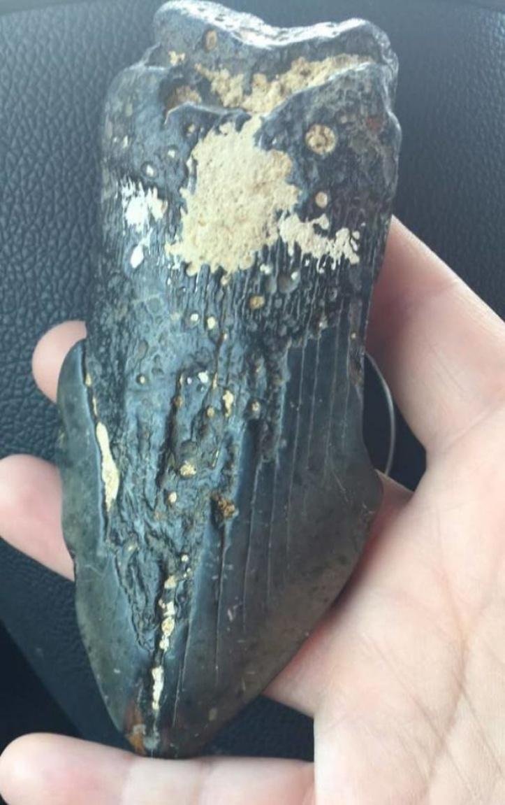 17 pessoas que encontraram algo estranho e a Internet ajudou