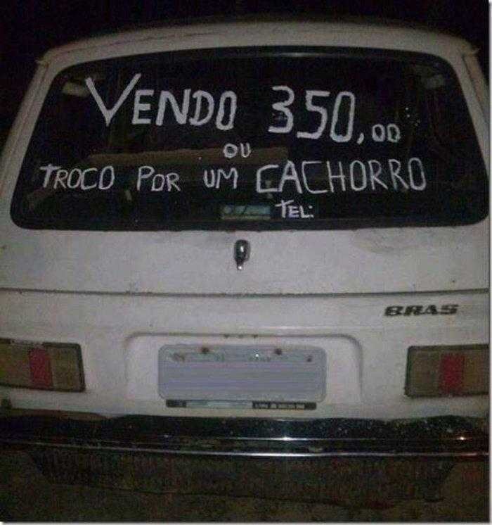 1587344230 312 28 Imagens quase sem explicacao que so podem ser encontradas