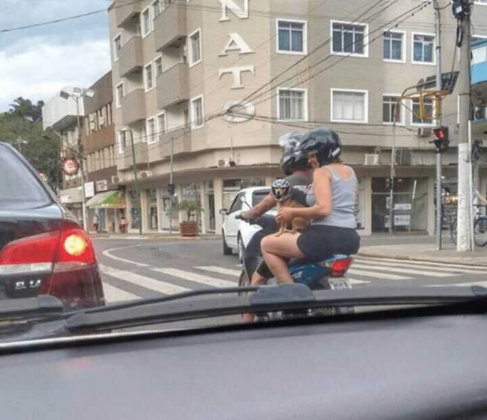 1587344232 392 28 Imagens quase sem explicacao que so podem ser encontradas