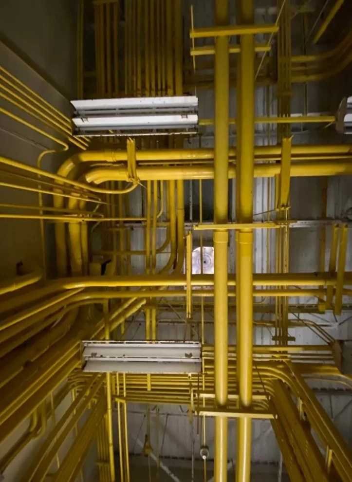 Essencial do DCM TV: 27 anos e 3 meses de cana para Bolsonaro