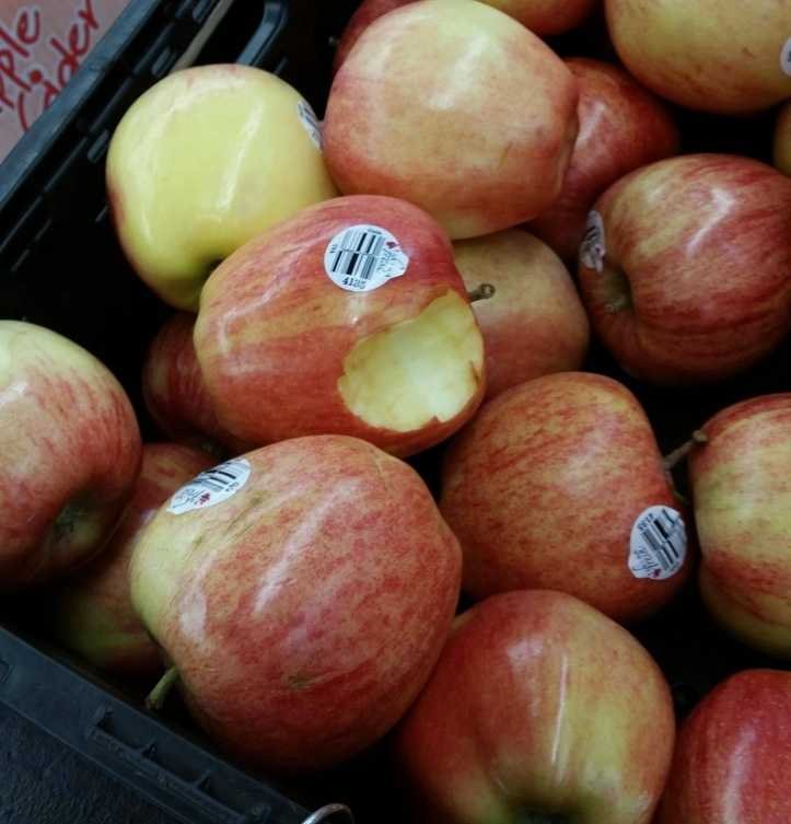 1626130153 276 23 fotos absurdas de pessoas que definitivamente nao tem nenhuma