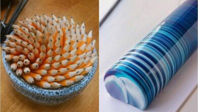 19 fotos que satisfazem as manias de vários perfeccionistas