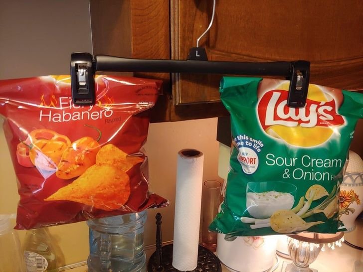 1620907763 573 20 pessoas cuja inteligencia precisa ser estudada pela NASA