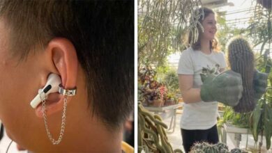 20 Vezes que as pessoas usaram a criatividade para solucionar problemas cotidianos