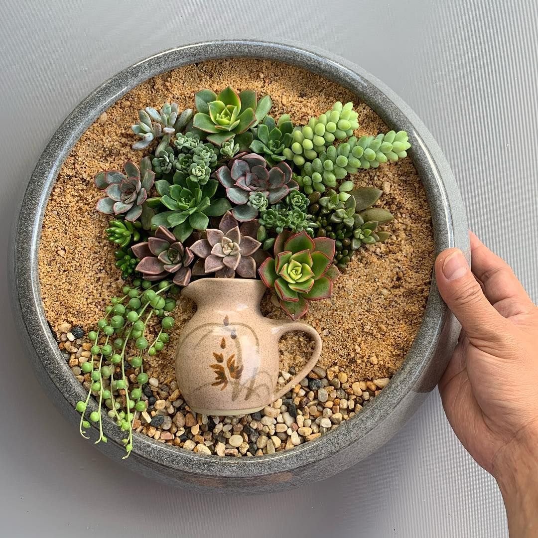 1593461895 985 17 ideias de terrarios de suculentas maravilhosos