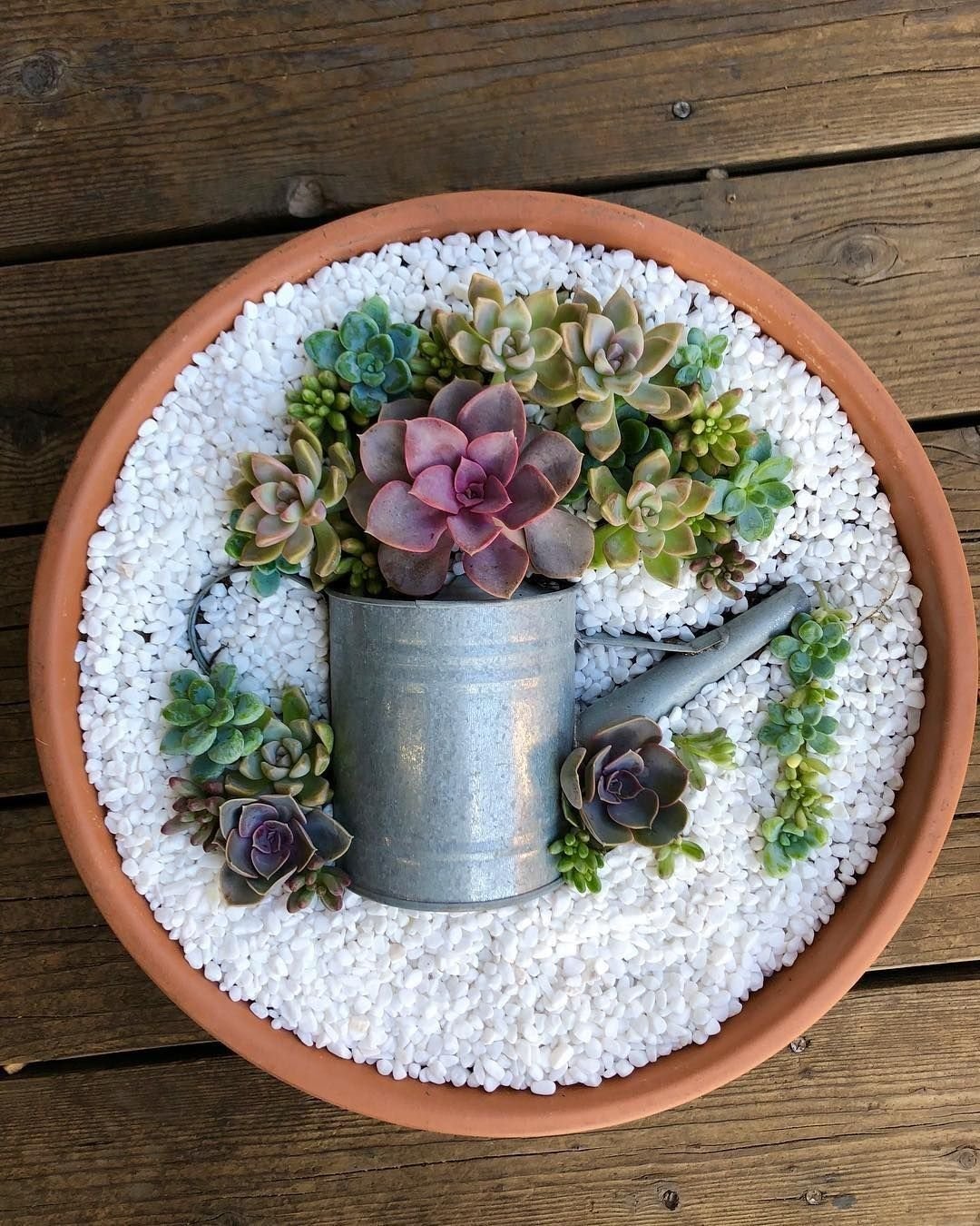 1593461895 151 17 ideias de terrarios de suculentas maravilhosos