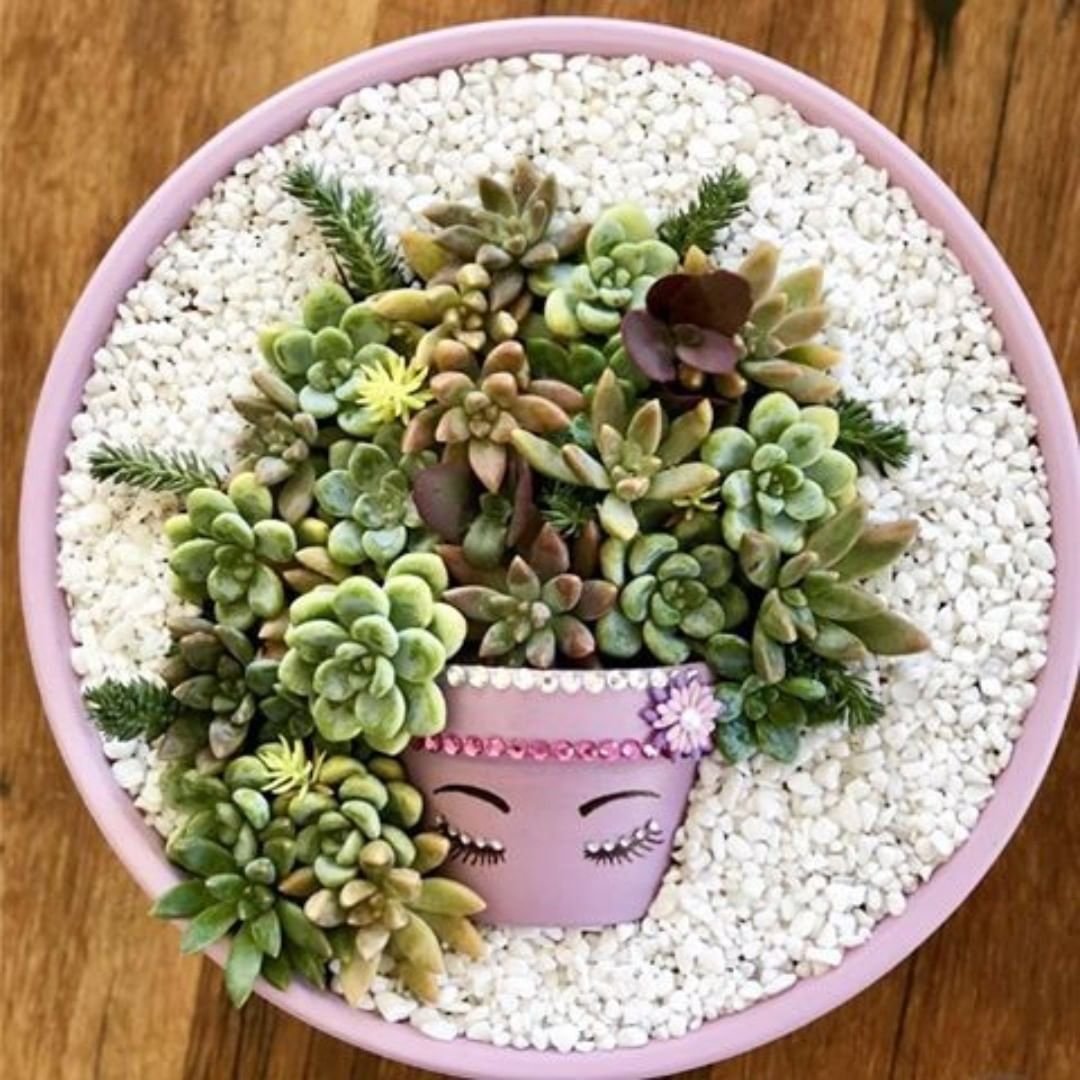 1593461895 596 17 ideias de terrarios de suculentas maravilhosos