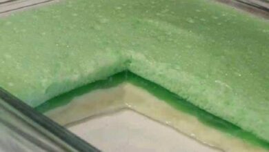 Creme de gelatina com leite condensado