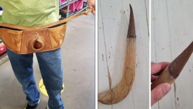 15 vezes as pessoas não tinham ideia do que estavam vendo e a internet ajudou um pouco