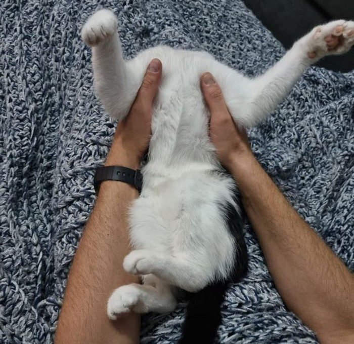 1638585459 383 18 Imagens que podem confundir ate as mentes mais atentas