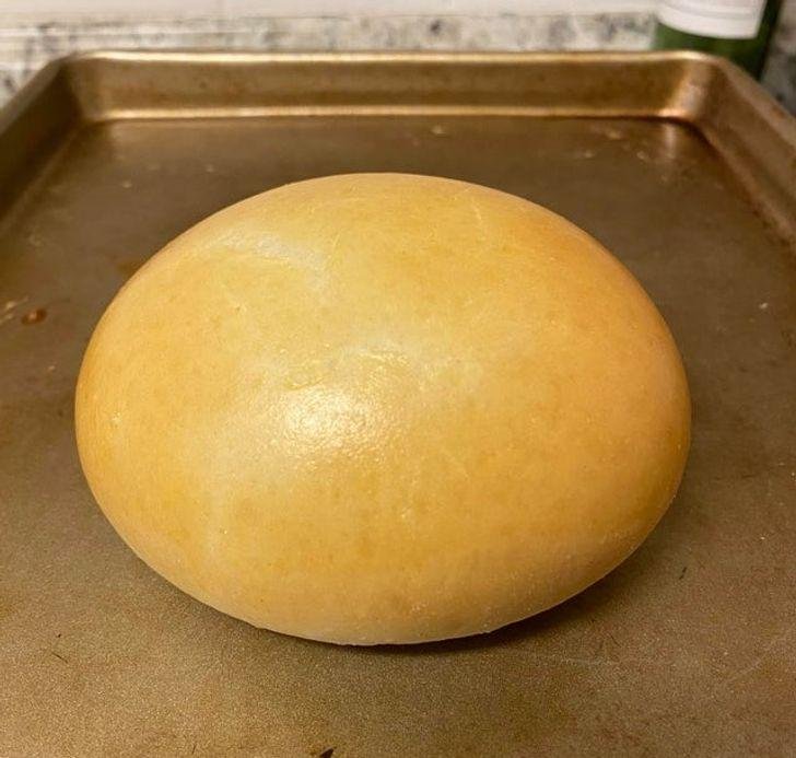 1636953469 114 19 fotos satisfatorias que sao melhor que estourar plastico bolha