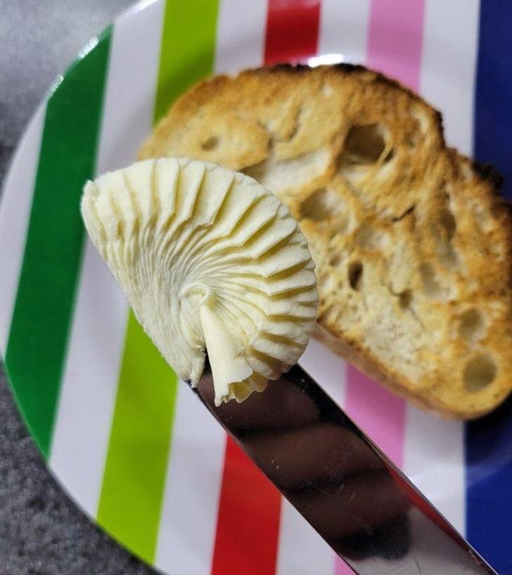 1636953475 801 19 fotos satisfatorias que sao melhor que estourar plastico bolha