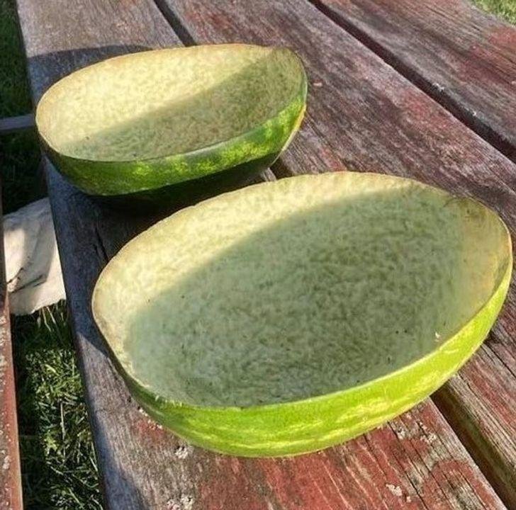 1636953481 893 19 fotos satisfatorias que sao melhor que estourar plastico bolha