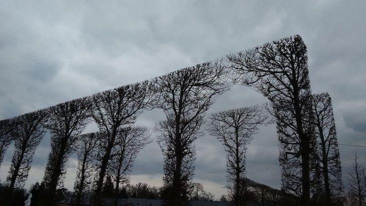 1636953488 160 19 fotos satisfatorias que sao melhor que estourar plastico bolha