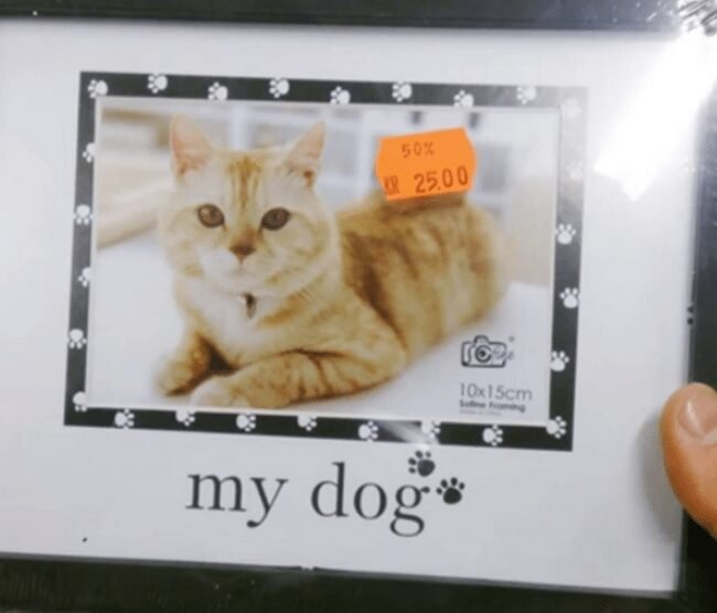 1634405273 859 14 Pessoas que deveriam considerar mudar de profissao Serio