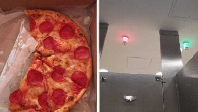 16 Ideias que tornaram o dia das pessoas muito melhor