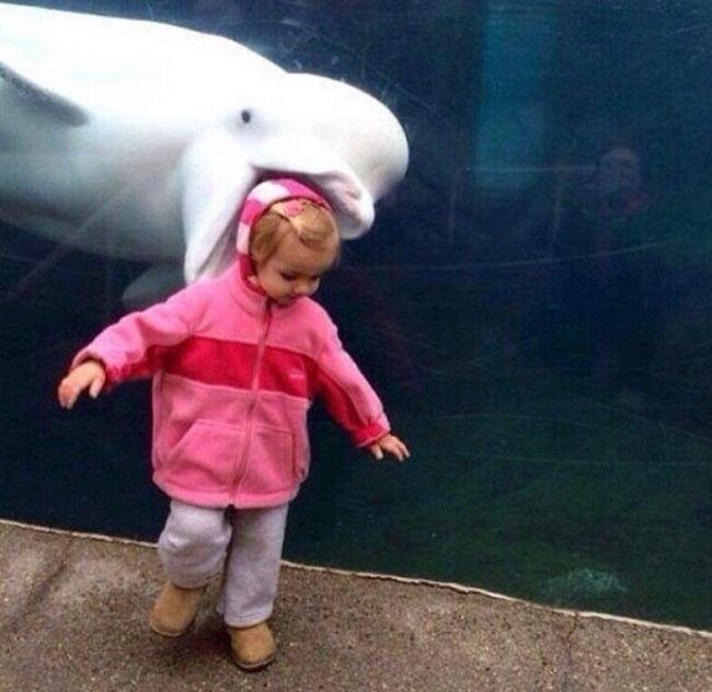 1638410284 699 15 Fotos que eram pra ser totalmente normais mas que
