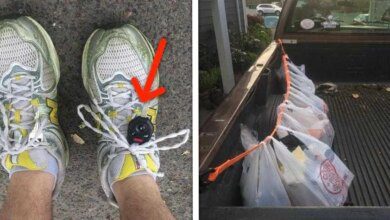 19 pessoas que resolveram seus problemas de maneiras únicas e inovadoras