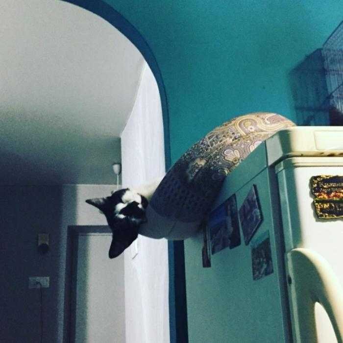 1595459587 796 25 fotos tiradas segundos antes do inacreditavel acontecer