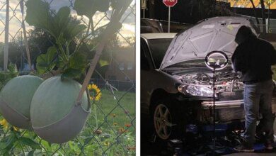 17 Pessoas que não se deixaram abater por pequenos problemas