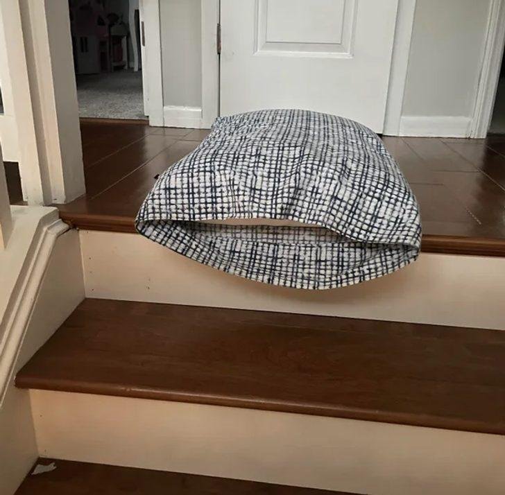 1640053859 61 20 Criancas engracadas que vivem de acordo com suas proprias