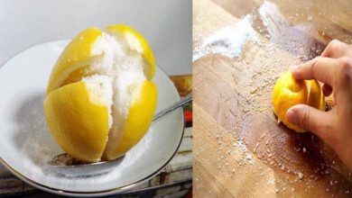 Limão com sal - 2 grandes aliados na limpeza doméstica