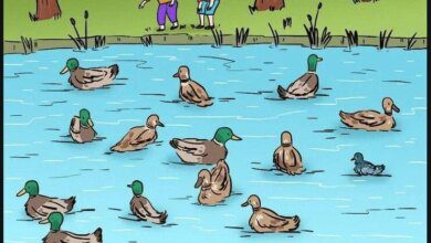 1599003528 743 Faca o teste de atencao Qual falha ha neste desenho 1