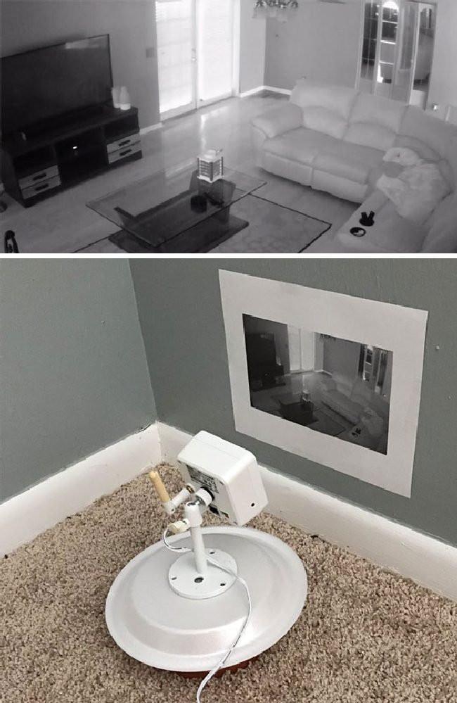 1636554007 713 15 Vezes em que pessoas burlaram as regras de formas