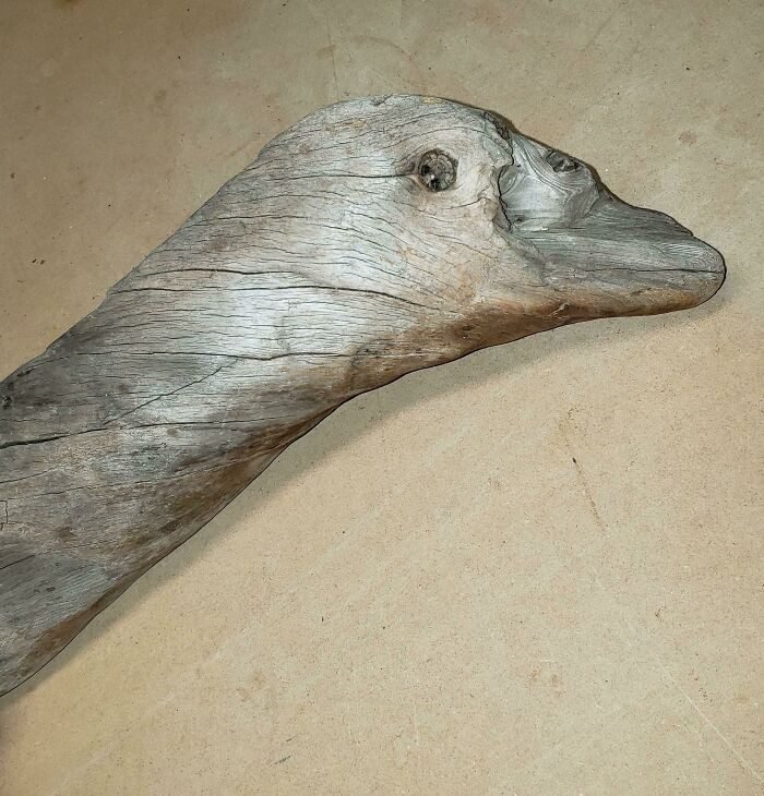 1651778683 693 22 Vezes em que as pessoas experimentaram a pareidolia e