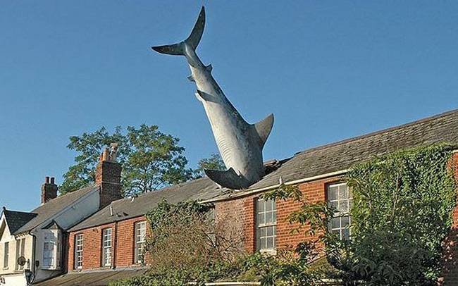 esculturas-esquisitas-18