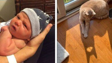 18 Imagens intrigantes que farão sua mente se sentir em um labirinto