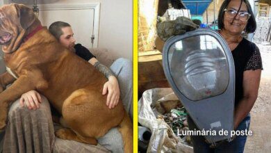 15 Vezes em que as comparações de tamanho entre humanos e objetos foram surpreendentes