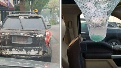 23 Vezes em que o poder da natureza frustrou todos os planos