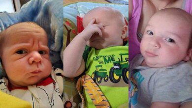 20 bebês que acabaram de nascer e já querem se aposentar