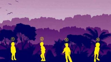 Teste de personalidade: Diga qual dessas sombras é de uma menina e você vai descobrir o que sua personalidade esconde