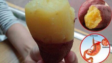 Receita caseira para acabar com azia, refluxo, gastrite e úlcera