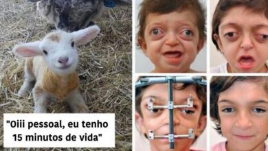 Se você está se sentindo triste, essas imagens irão te ajudar a ter um bom dia
