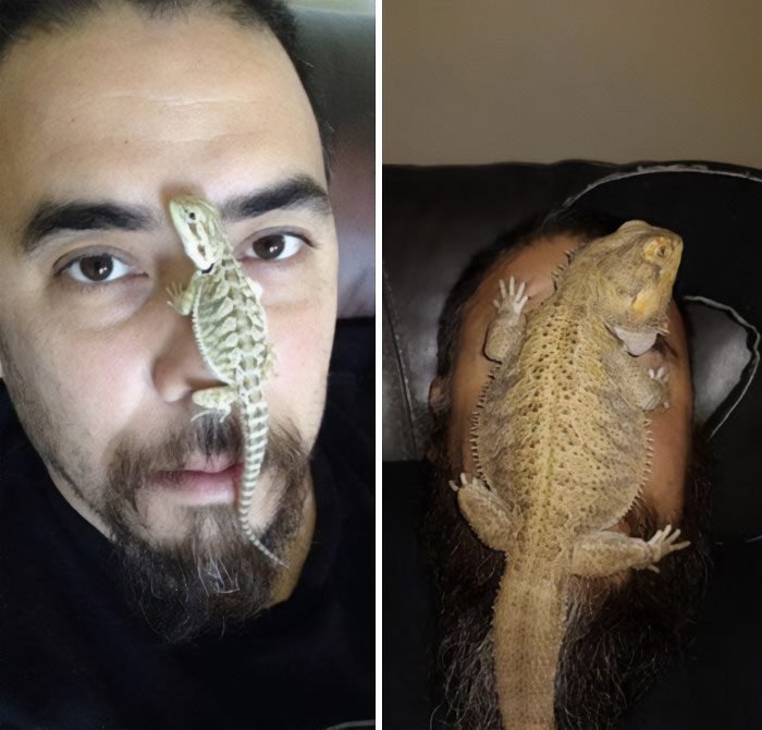 1634763920 721 22 Fotos de antes e depois que sao incrivelmente satisfatorias