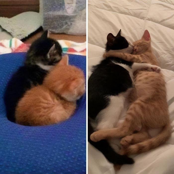 1634763926 348 22 Fotos de antes e depois que sao incrivelmente satisfatorias