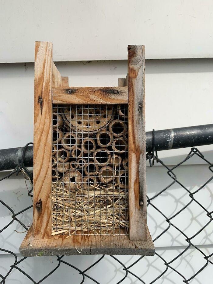 1640141942 351 19 Vezes que as pessoas se depararam com objetos curiosos