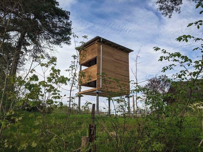 1640141945 81 19 Vezes que as pessoas se depararam com objetos curiosos