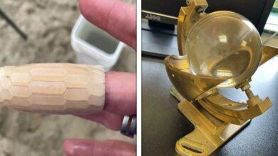 19 Vezes que as pessoas se depararam com objetos curiosos e pediram ajuda na internet para saber o que eram