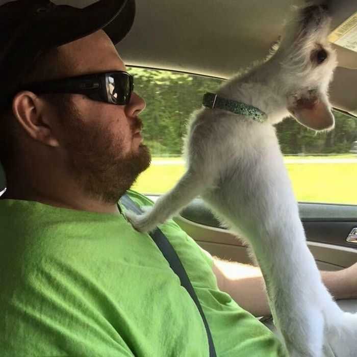 20 animais parecem crianças inocentes 16 20 animais parecem crianças inocentes 16