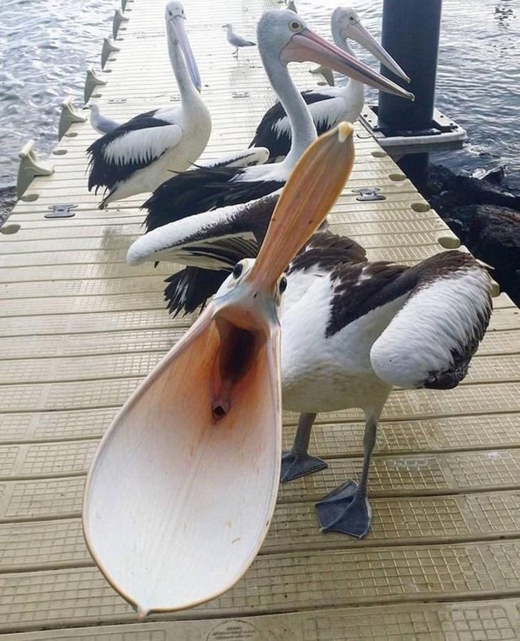 1557326406 522 20 provas de que o angulo e a perspectiva da