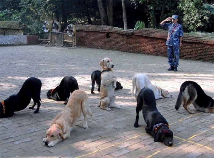 1573858566 882 22 pessoas que vivem a vida de uma perspectiva totalmente