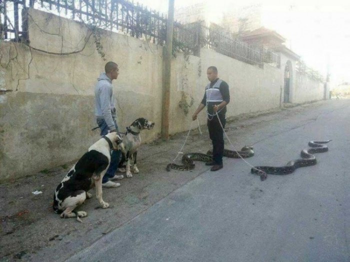 1573858566 258 22 pessoas que vivem a vida de uma perspectiva totalmente