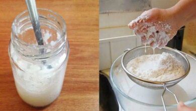 Receita barata para fazer óleo de coco