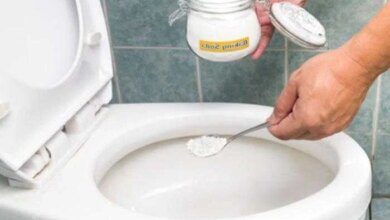 Como eliminar o cheiro de xixi no sofá, cama e banheiro